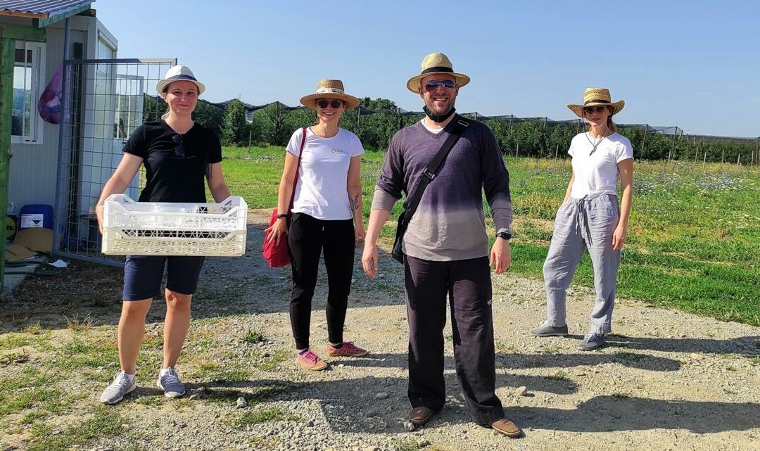 Ljetni planovi Makabi Agritecha povezuju mikroalge s borovnicama